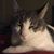 Kate Burnside's profile image