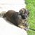 Paulette Swanson's profile image