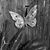 Chris Raborn's profile image