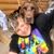 Amanda Beckett Tenney's profile image
