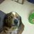 Steve Hartz's profile image
