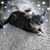Michelle Godak's profile image