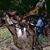 Judy Hall's profile image