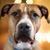 Trish Maggio Long's profile image
