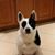 Colleen Kintner's profile image