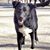 Sally Levy's profile image