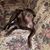 Judy McMurray's profile image