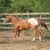 Darlene Breads's profile image