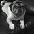 Elby Magaly Leiva's profile image