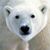 Alejandro Corrales's profile image
