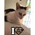 Jesco Rose's profile image