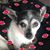 Jenny Orchard's profile image
