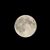 Calvin Hahn IV's profile image