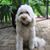 Connie Melton's profile image