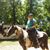 Debra Brown Weber's profile image