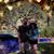 Danielle Greenbaum-Phillips's profile image