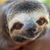 Jennifer Miller Huling's profile image
