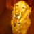 Jeff Bodyfield's profile image