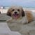 Phyllis Davis's profile image