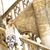 Miri Ohashi's profile image