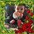Michele Martini Lasiw's profile image
