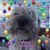 Deb Stepp's profile image