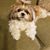 Linda Land-sleboda's profile image