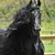 Maria Costa's profile image