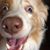 Susan Mayton Killary's profile image
