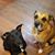 Marjorie Noel Bruzina-Barthel's profile image