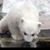 Carol Brown's profile image