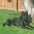 Nancy Robertson Llewellyn's profile image