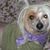 Anne Kinkella's profile image