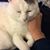 Cate Luft's profile image