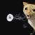 Stephen M. Pethes's profile image