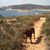 Jill Farris Knipp's profile image