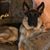 Jeanette Clemenson's profile image
