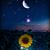 Sandy Estes's profile image