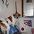 Janet Booher's profile image