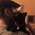 Blake Michener's profile image