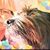 Denise White's profile image