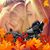 Angela Dedivanovic's profile image