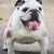 Kelli Lesniczak Humphrey's profile image