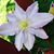 Karen Connor Ulanoski's profile image