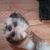 Cyndi Cooper's profile image