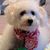 Nancy Staub's profile image