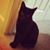 McKenna Nelson's profile image
