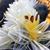 Carol Buckholz Hughes's profile image