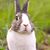 Kath Vaughn's profile image
