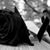 Lourdes Lorenzo's profile image